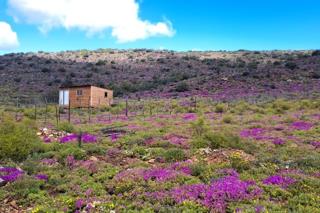 2 Bedroom Property for Sale in Oudtshoorn Rural Western Cape